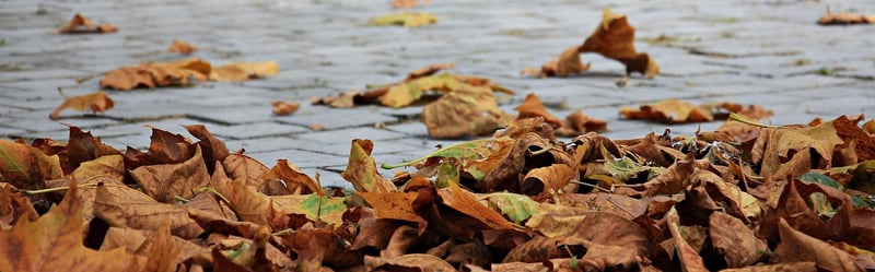 Rustic Fall Display