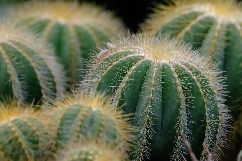 Ready-to-grow solutions inspiration